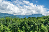 Fototapeta Na ścianę - great smoky mountains national park