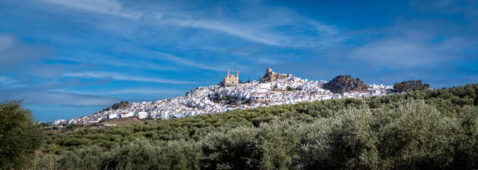 Wall Mural - Panoramic view of the town of Olvera, in Cadiz, Spain, with its white houses scattered on a hill and with the church on top