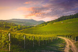 Fototapeta  - Langhe vineyards view, rural road, Barolo and La Morra in the background, Piedmont, Italy