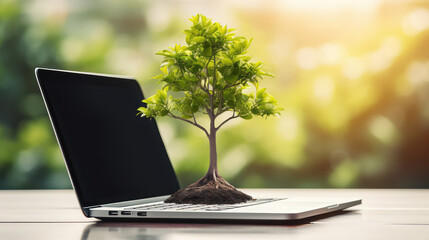 Environmental friendly concept tree growing from laptop sustainability ecology problems.