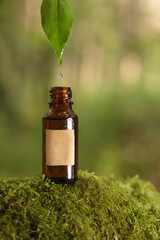 Wall Mural - Oil drops entering a bottle on a green background, empty label. Mockup.