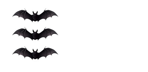 halloween and decoration concept - black bats flying over white background. copy space for text