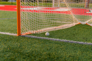 Wall Mural - Dramatic late afternoon photo of a lacrosse goal on a synthetic turf field.	