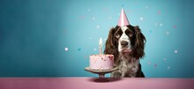   English Springer Spaniel Dog Wearing A Birthday Hat Waiting On A Cake, Canine  Dog Happy Birthday, Generative Ai