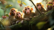 Group Of Lively Proboscis Monkeys Swing Through The Lush Rainforest, Their Long Noses And Expressive Faces Radiating Charm And Cuteness. Generative AI