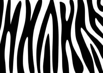 Wall Mural - zebra skin pattern lines.