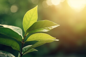 Canvas Print - vibrant green leaf up close on a tree branch. Generative AI