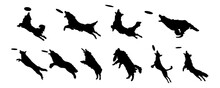 Set Of Frisbee Dog Silhouettes On White Background. Dog Catches The Disc Silhouette Vector Illustration
