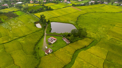 Green farm with a house