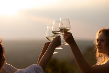 Group of happy girlfriends clinking glasses with wine at picnic on sunset.
