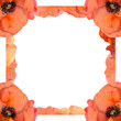 © Elena - Watercolor square frame composition with hand drawn summer bright red poppy flowers. Isolated on white background. Design for invitations, wedding, love or greeting cards, paper, print, textile