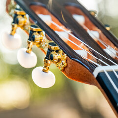 Wall Mural - Close-up of the guitar head of a classical guitar with gold pegs. Part of a classical guitar on a blurry background in the park. Head of guitar with nylon strings.