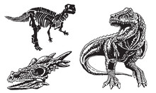 Graphical Set Of Dinosaurs Isolated On White Background,vector Illustration,tattoo  Designs.