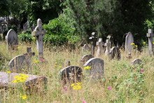 Brompton Cemetery In London UK. Picturesque Old Cemetery In Summer Day.  