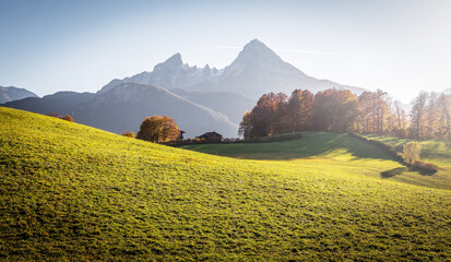 Wall Mural - Amazing nature landscape. Panoramic view of green rolling hills landscape with trees and rocky alpine mountain peaks in the background on a beautiful sunny day with blue sky.