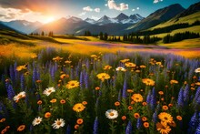 A Colorful Field Of Wildflowers With A Mountain Backdrop