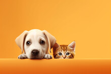 Cat And Dog Together Isolated On Orange Background. 3d Rendering. Space For Text Generative Ai