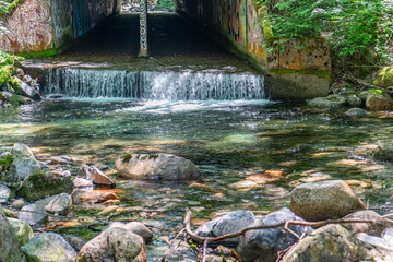 Stream Tunnel And Pool 3