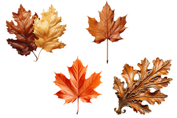 Poster - A set of 3d objects Maple leaf isolated on a white background. Vector illustration