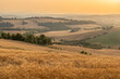 Marche Region Countryside with grainfields near Senigallia