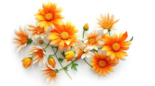 Orange Flowers On White Background Top View. Generative Ai