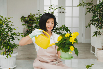 woman watering begonia flowers in a pot close-up. Home plants, green house, lifestyle.