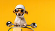 cute dog character driving scooter wearing sunglasses and helmet