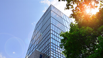 Eco architecture. Green tree and glass office building. The harmony of nature and modernity. Reflection of modern commercial building on glass with sunlight. 