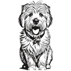 Wall Mural - Coton de Tulear dog outline pencil drawing artwork, black character on white background ready t shirt print