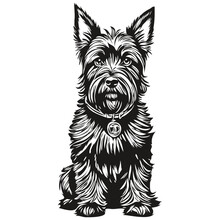 Scottish Terrier Dog Line Illustration, Black And White Ink Sketch Face Portrait In Vector Sketch Drawing