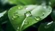 CO2 reducing icon on green leaf with water droplet for decrease CO2 , carbon footprint and carbon credit to limit global warming from climate change, Bio Circular Green Economy concept
