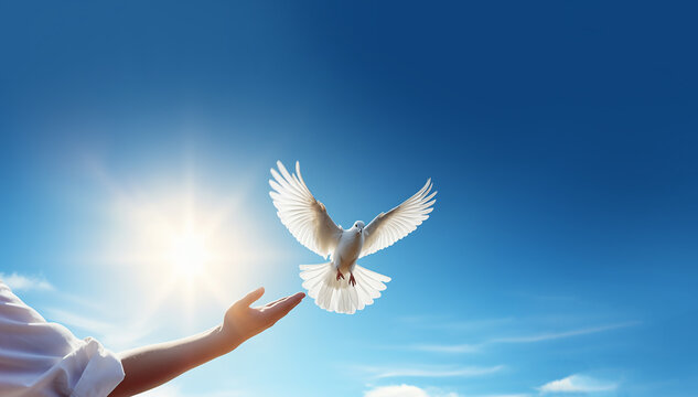 hands releasing white doves in blue sky with sunrise during sunset. symbol of freedom and peace on b