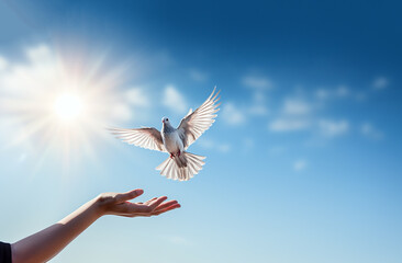 Hands releasing white doves in blue sky with sunrise during sunset. Symbol of Freedom and peace on blue background with copy space