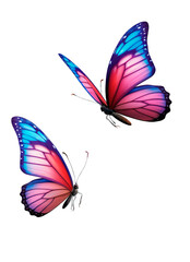 Blue and pink butterflies on isolated background