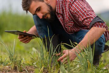 Sticker - Male farmer plantation checking quality by tablet agriculture modern technology concept smart farming agronomist checking soil quality on the field.