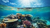 Fototapeta Do akwarium - Vibrant marine paradise teeming with underwater life