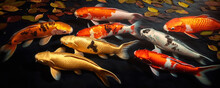Koi Fish Swimming In A Pond