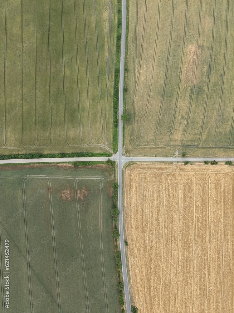four roads connecting in intersection in the countryside with fields ...