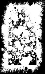 Wall Mural - Abstract background. Monochrome texture. The image includes the effect of black and white tones