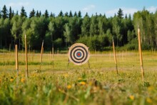 A target with arrows on a field