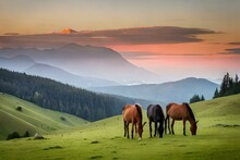 Horses In The Mountains