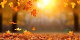 Fototapeta Natura - Autumn landscape with beautiful maple tree and seasonal magic on blur background for fall season