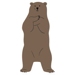 Wall Mural - Grizzly Bear Single 26 PNG