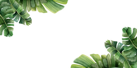 Corners tropical leaves horizontal banner watercolor template with palm tree isolated on white background. Jungle monstera realistic design for cards, wedding party invitations, save the date