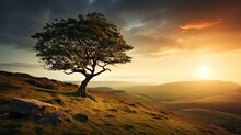 A Lone Tree Standing Proudly On A Hill, Its Branches Reaching Out In All Directions, Symbolizing Strength And Resilience. Generative Ai