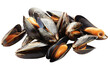 © dataimasu - Steamed mussels. isolated object, transparent background