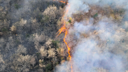 Wall Mural - El Nino weather phenomenon cause drought and increase wildfire in southeast asia.