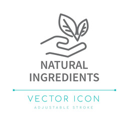 Wall Mural - Natural Ingredients Line Icon