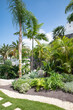 Tropical garden corner featuring palm trees and lots of luxuriant plants, with a neat stone path crossing through the well-kept grass, creating a stunning and tranquil lush environment near a property