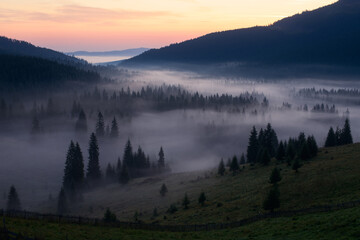 Wall Mural - Foggy morning in Romania